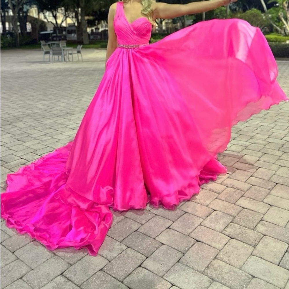 Ashley Lauren couture Pink Evening Gown